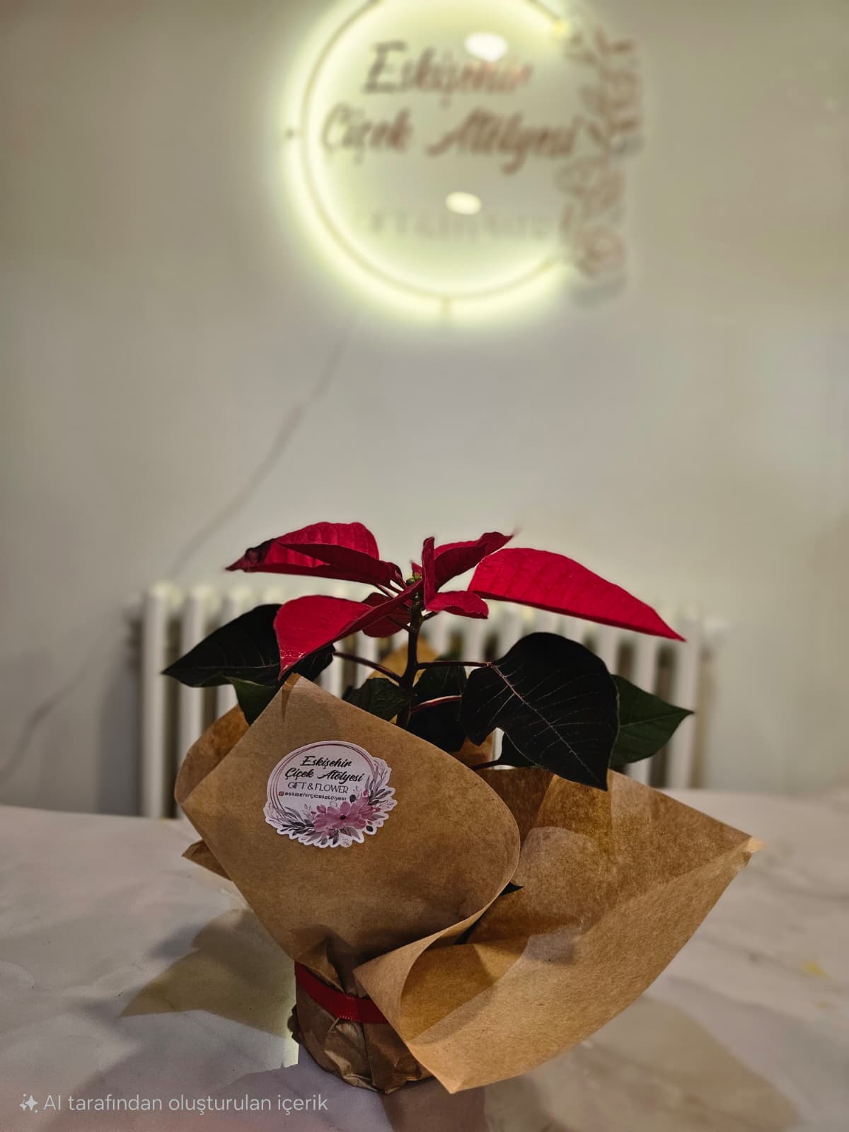 Atatürk Çiçeği (Poinsettia)