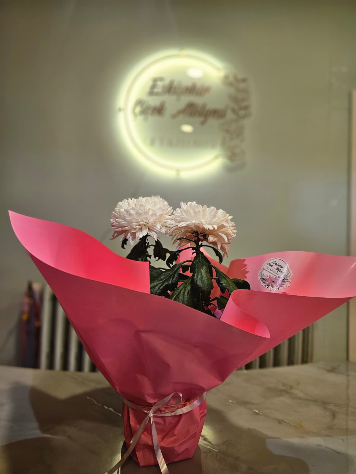 Pink & White: Özel Tasarım Krizantem